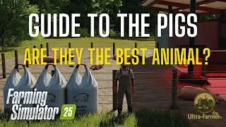Guide to Pigs - Farming Simulator 25 - Tutorial
