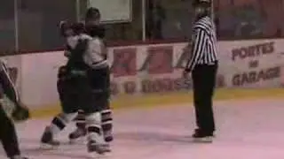 Manseau vs G&eacute;linas