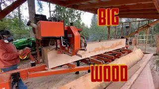 Milling Huge Timbers From Burned Logs