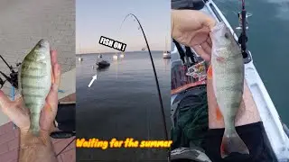 Fishing for Perch on the dream lake - Pesca al persico sul Garda 2025 -