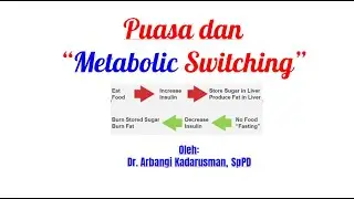 Puasa dan Metabolic Switching