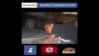 Delmarva Crawlspace & Basement Waterproofing