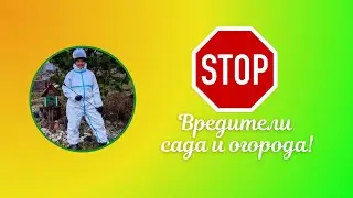 Опрыскиватель Electrolite BS-10! Почему 10 лучше, чем 12?