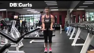 CliftaFit Upper Body Workout for Beginners
