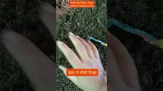 खाद में मोती कँहा से आ गया।। Earthworm' eggs🥚|| Vermicompost Dhanbad