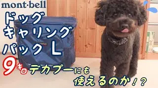 【モンベル】ドッグキャリングパックLのレビュー動画【mont-bell】