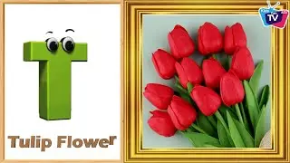 Flowers ABC Song | Flowers Alphabet Song | Phonics for Kids | Alphabet Letters | Baby