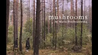 Polish Cuisine: Mushrooms by Maria Przybyszewska