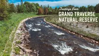 Boardman River Nature Preserve