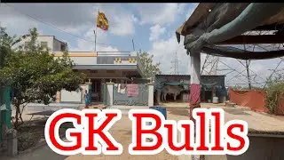 GK Bulls Shed tour | Kiran garu | Esukapalli | Repalletown | Bapatla District | Ongole bulls| viral