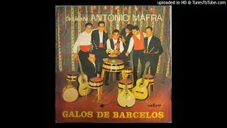 Conjunto António Mafra - Galos de Barcelos