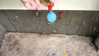Balloon Pop