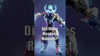 Did Elites respect Humanity? #halo #halolore