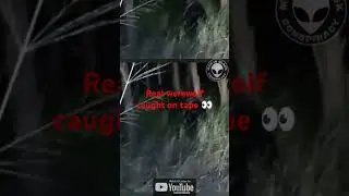 Real werewolf caught on tape. Is this proof dogman is real? #yakub #werewolf #dogman