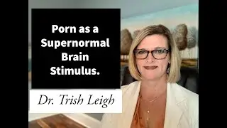 Porn as a Supernormal Brain 🧠 Stimulus.