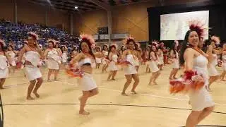 P.E.T...Kapa Rima/Ura Pau........KOD25