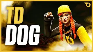 This is what $75,000 in Earnings looks like - TD Dog