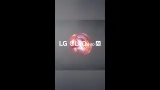 LG OLED 12 A&Ntilde;OS