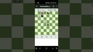chess puzzle 256 mate in 3