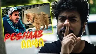 @GAURAVZONE DISS TRACK - PESHAAB AAYA | WHO CARES (PROD STARBOY)