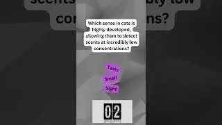 🐾 Can You Guess? Fun Cat Facts Challenge! 🤔 | Test Your Feline Knowledge!