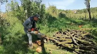 TATA INTRO GRADINA CU VERDEATA TAIE PRUNI USCATI LA BUTUCI. 