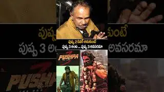 పుష్ఫ 3 అవసరమా | PUSHPA 2 MOVIE PUBLIC TALK | PUSHPA 2 MOVIE REVIEW | ALLU ARJUN | RASHMIKA | AC