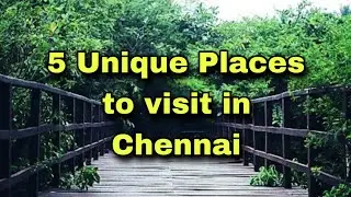 5 Interesting Places to visit in Chennai| Royal Chitran| Dhakshinachitra|Must visit place in Chennai
