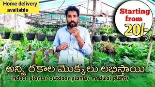Road side plant nursery | cheapest flower nursery in Hyderabad | flower pots |  మొక్కల నర్సరీ