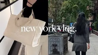 NY Vlog. 샤넬 도빌백 스몰리뷰 & 올해의 찐템들, 뉴욕 반려견 카페, 뉴욕 파머스마켓, 일본에서 온 라멘 맛집 투어🍜, 재팬 푸드 페스티벌