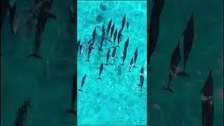 AMAZING Satisfying Nature Beauty For Mind Peace - Its Time For Break . Relaxing Mood