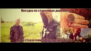 Поиски по старым деревням или старая монета и ведьмин цветок