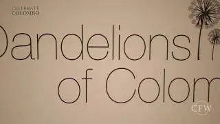 Launch of 'The Dandelions of Colombo' by Jatin Kampani