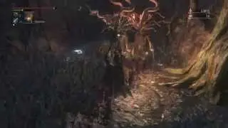Bloodborne Deep Sea - Clean Deep Sea - Location guide l Forbidden woods