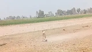 Indian up 76 is live cricket 🏏