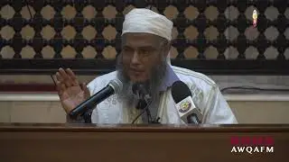 أنواع الشعر عند التخليل في الوضوء والغسل |  فضيلة الشيخ محمد الحسن الددو