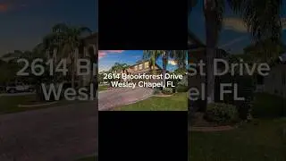 New Listing in SEVEN OAKS (Wesley Chapel, FL)