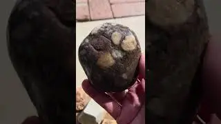 Пудинг-стоун!