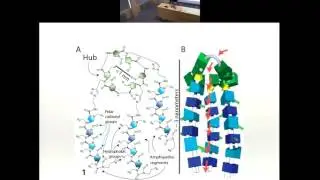 CANDO: A Compiled Programming Language for Computer-Aided Nanomaterial Design and Optimization