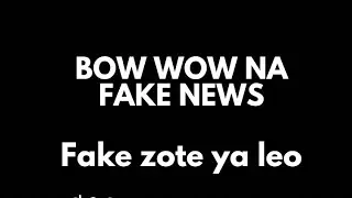 BOW WOW - FAKE PRIVATE PLANE