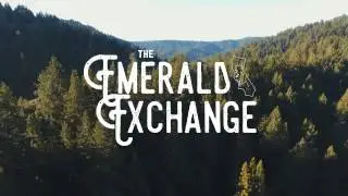 Emerald Exchange III