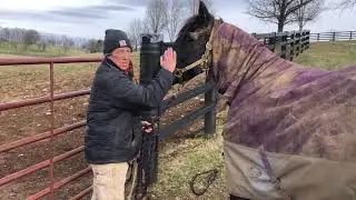 Turn Out Horses Safely - One Minute With Cathy