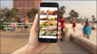 Diet Coaching Guide v1.0