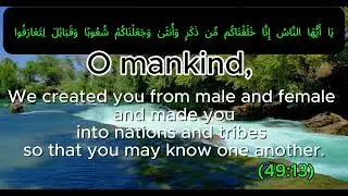 Allah does not look at your race, your status, or your background. 🤍