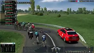 Fl&eacute;che Wallone 2020 - Cyclisme // Pro cycling manager