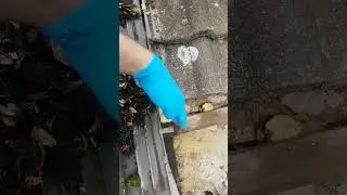 Dachfenster undicht.Vermeide diesen Fehler.