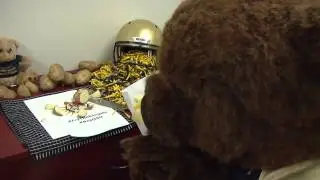 Klawz is frying something up! - Northern Colorado Athletics
