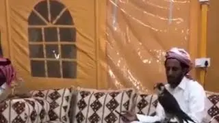 إلى من العرب ناموا بدا ليلي صالح آل مانعه