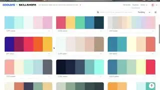 Coolors review to generate color palettes