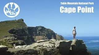 Cape Point | Table Mountain National Park - the WildLife